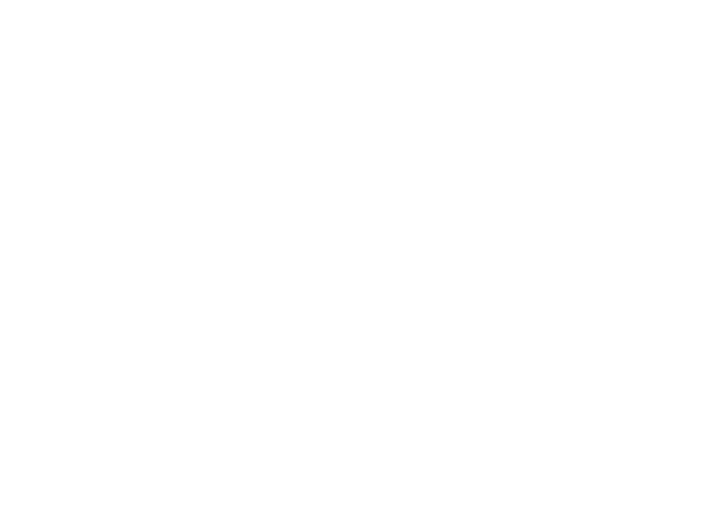 Freedom Ballet Technique